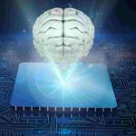 quantum-computing-neuroscience