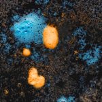 rust-scientific